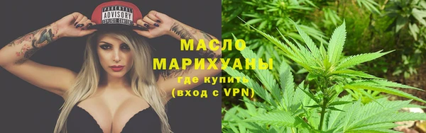 стаф Осинники