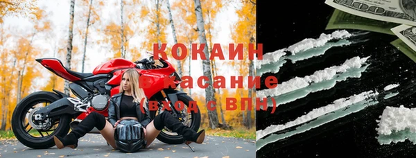 стафф Аркадак