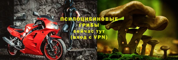 стафф Аркадак
