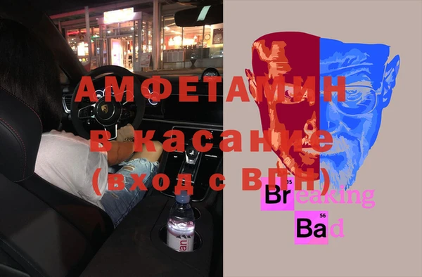 стафф Аркадак
