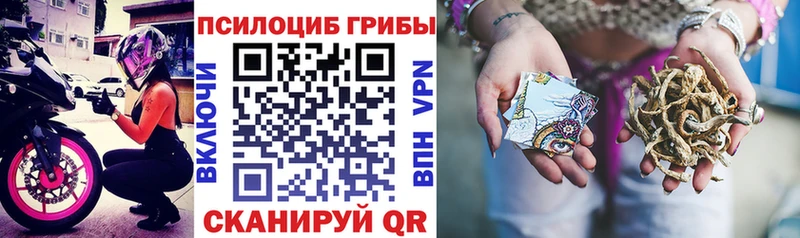 Галлюциногенные грибы Cubensis  блэк спрут ONION  Суворов 